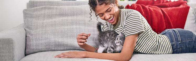 A human laying on a couch while their kitten is leaning into them.