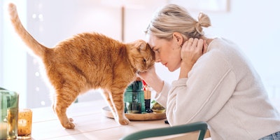 Woman sitting at table head to head with orange cat