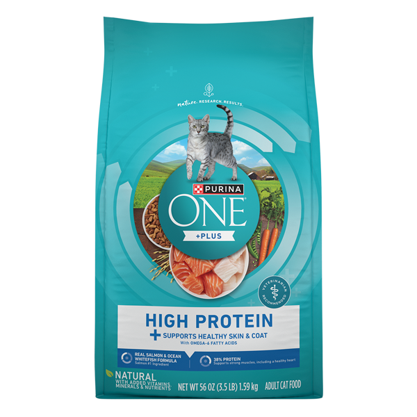 Purina ONE Plus High Protein Salmon & Ocean Whitefish Skin & Coat Health Dry Cat Food