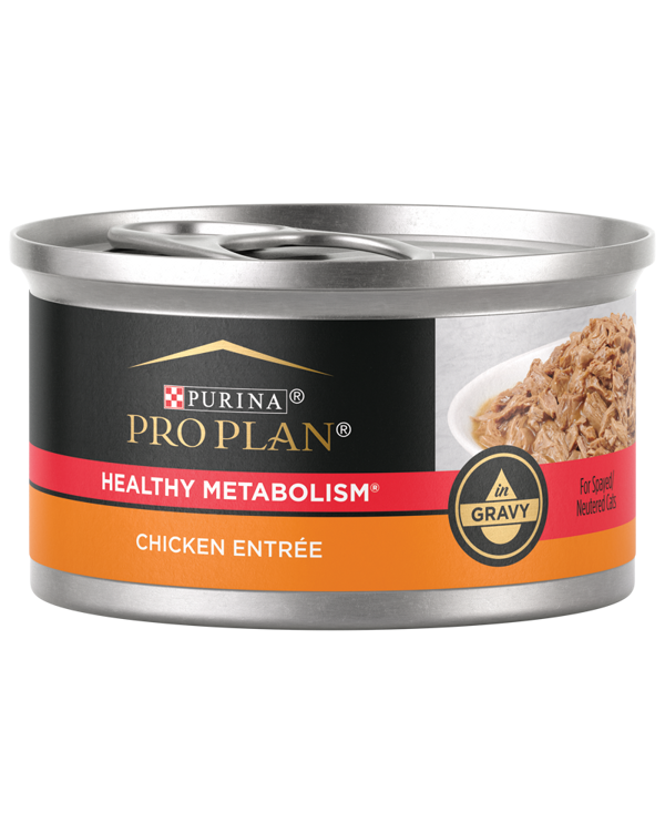 Purina Pro Plan Healthy Metabolism Chicken Entrée in Gravy Wet Cat Food