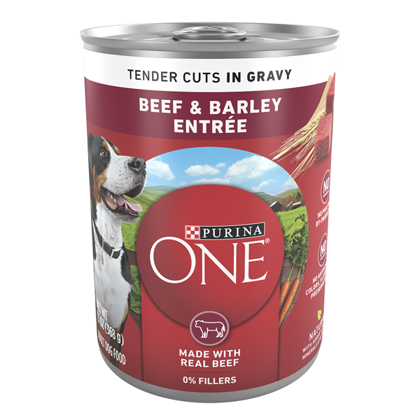 Purina ONE Beef & Barley Entrée Tender Cuts in Gravy Wet Dog Food