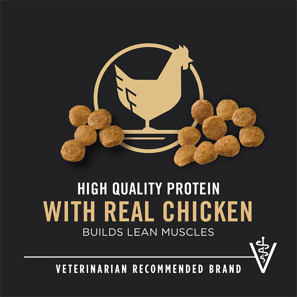 Etiqueta del paquete de alimento para perros que destaca “Proteína de alta calidad” y “Marca recomendada por veterinarios”