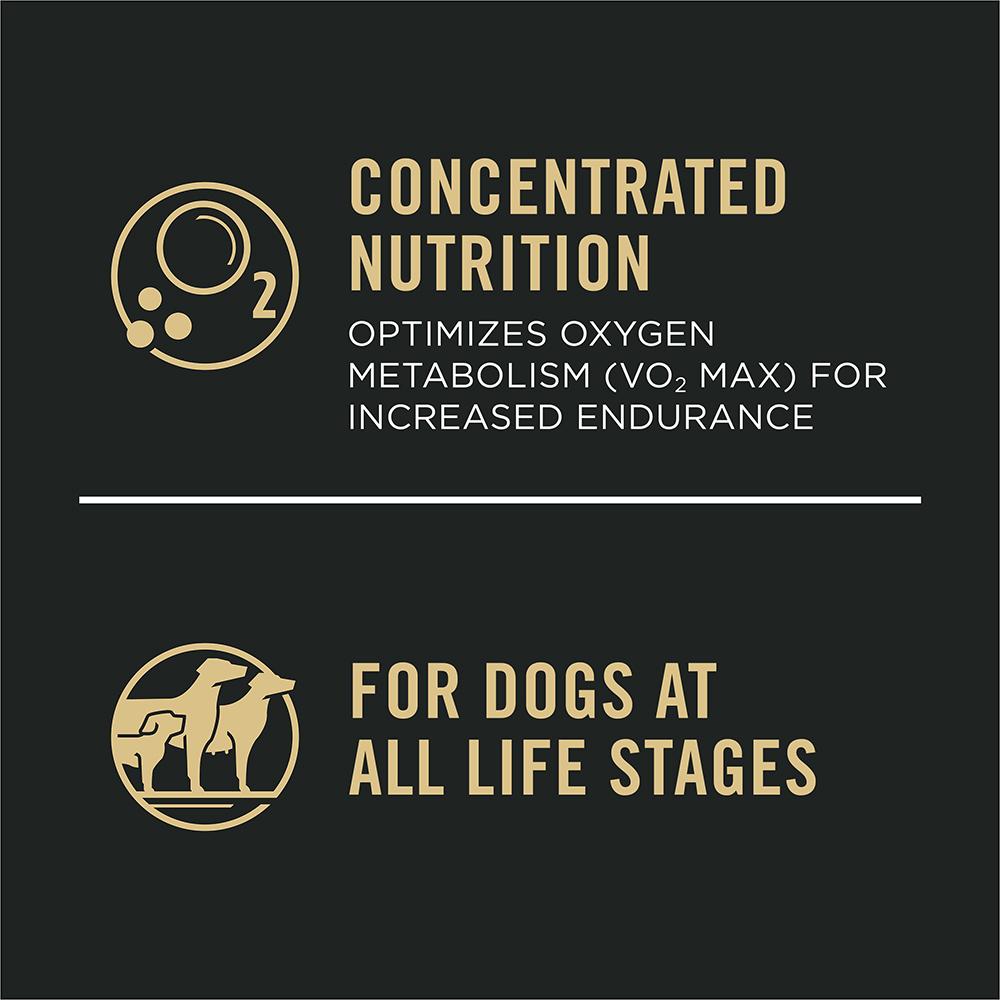 Pro Plan Sport Performance 30/20 Salmon & Rice Dog Food Purina