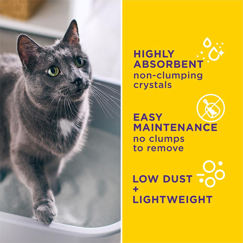 Tidy Cats Tidy Care Alert Color Changing Cat Litter Purina US