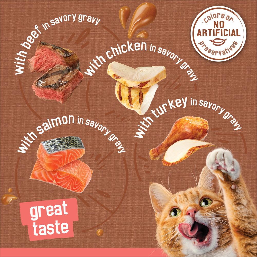 Watch Friskies Extra Gravy Chunky Is PERFECT for My Stubborn Cat on Live Watch Friskies Extra Gravy Chunky Is PERFECT for My Stubborn Cat on Live