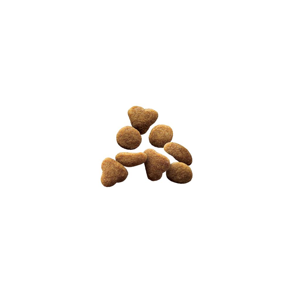 Purina Pro Plan High Protein Cat Food | Pet Supermarket Purina Pro Plan High Protein Cat Food | Pet Supermarket