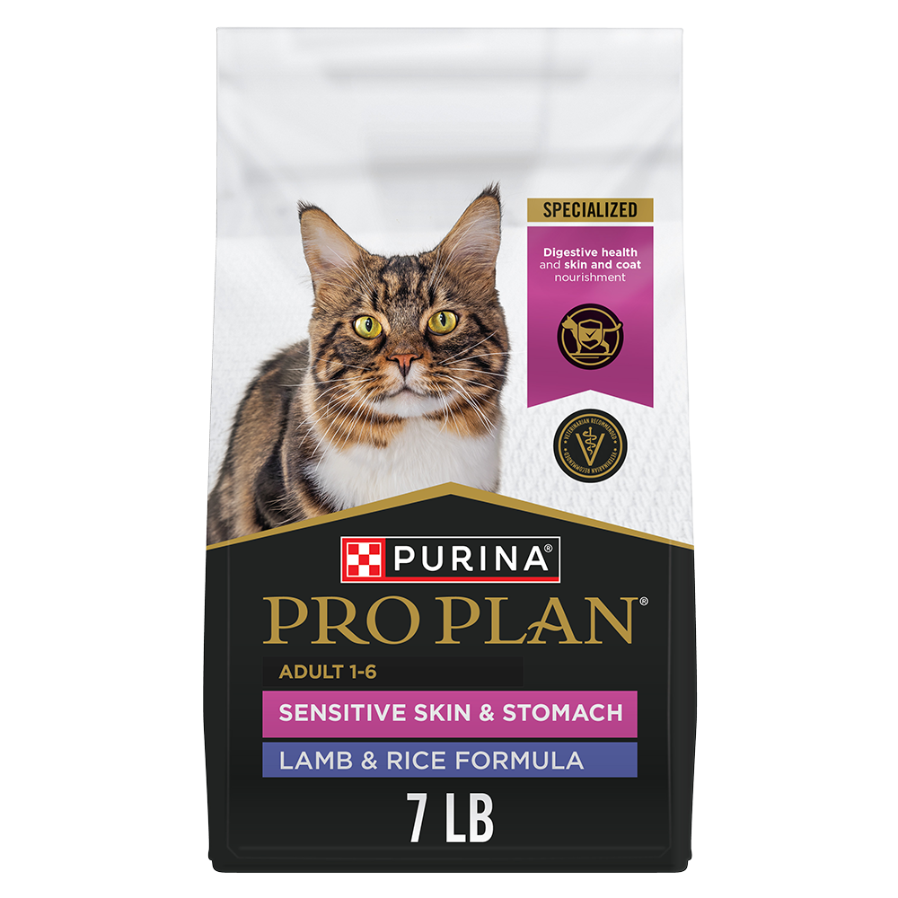 Common Cat Skin Conditions & Problems | Purina US