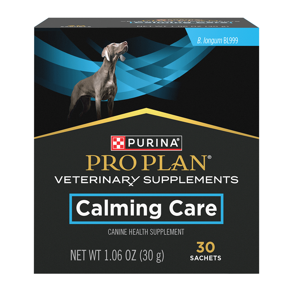 Calming Perros Pro Plan Veterinary Supplements Calming Care for Dogs & Cats | Purina US