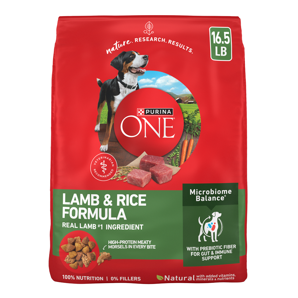 Can Dogs Eat Ginger? A Guide to Safety Purina US