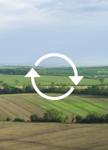 Circular monitoring icon representing ongoing supplier assessments and oversight.