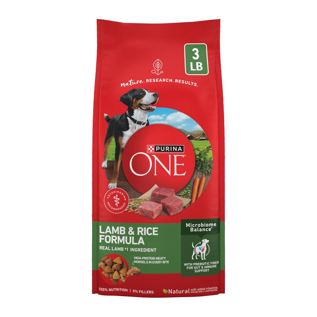 Can Dogs Eat Green Beans? A Guide to Safety Purina US