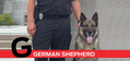 G is for German Shepherd
