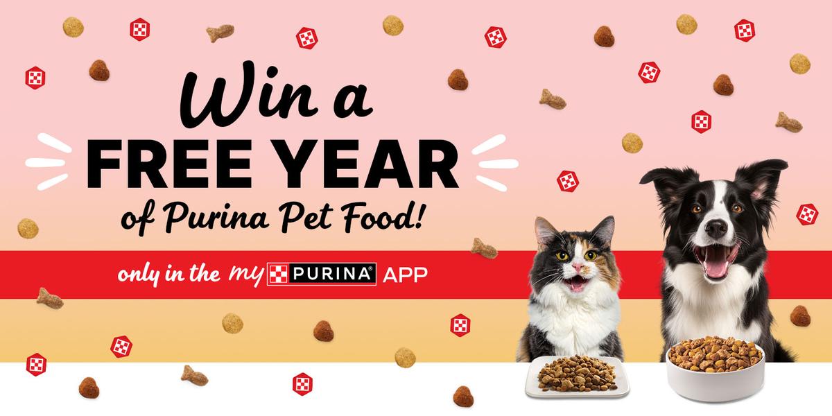 Purina ONE +Plus Hairball Control Dry Cat Food Purina