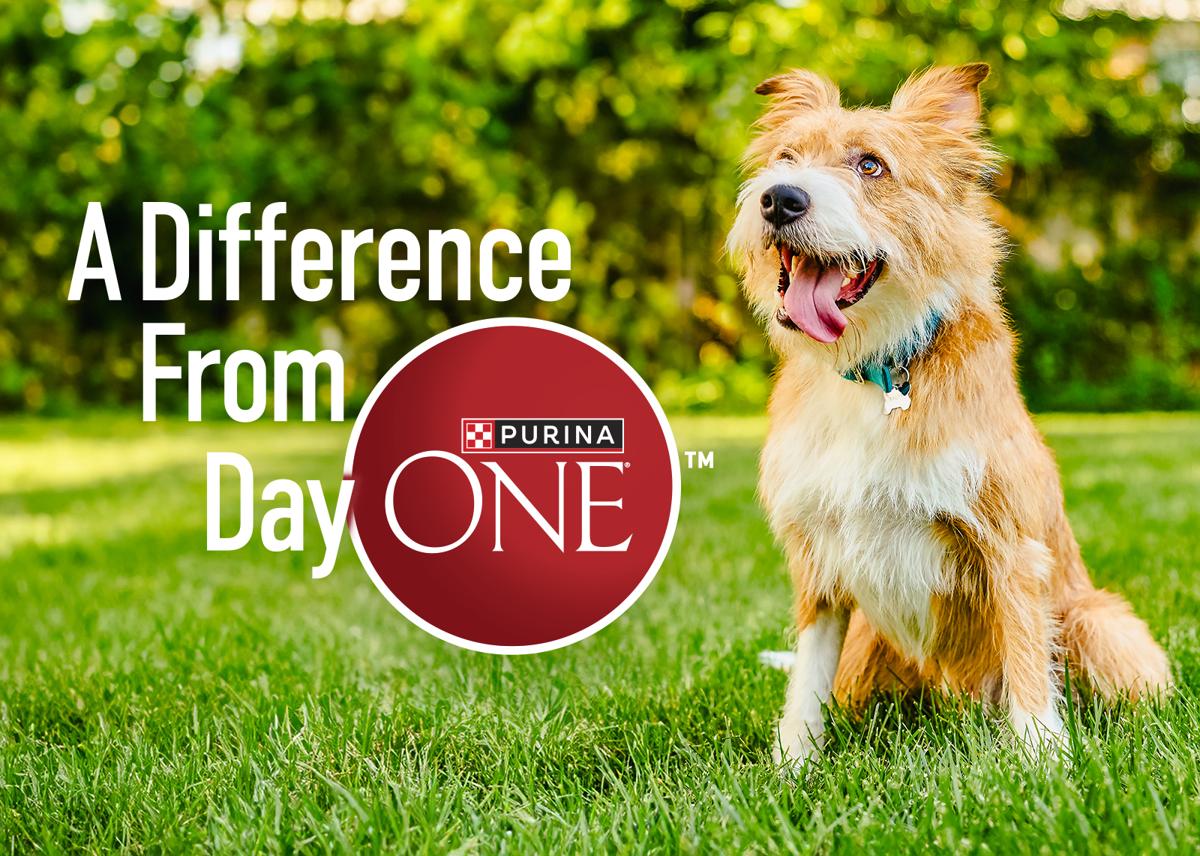 Purina ONE Coupons Purina US