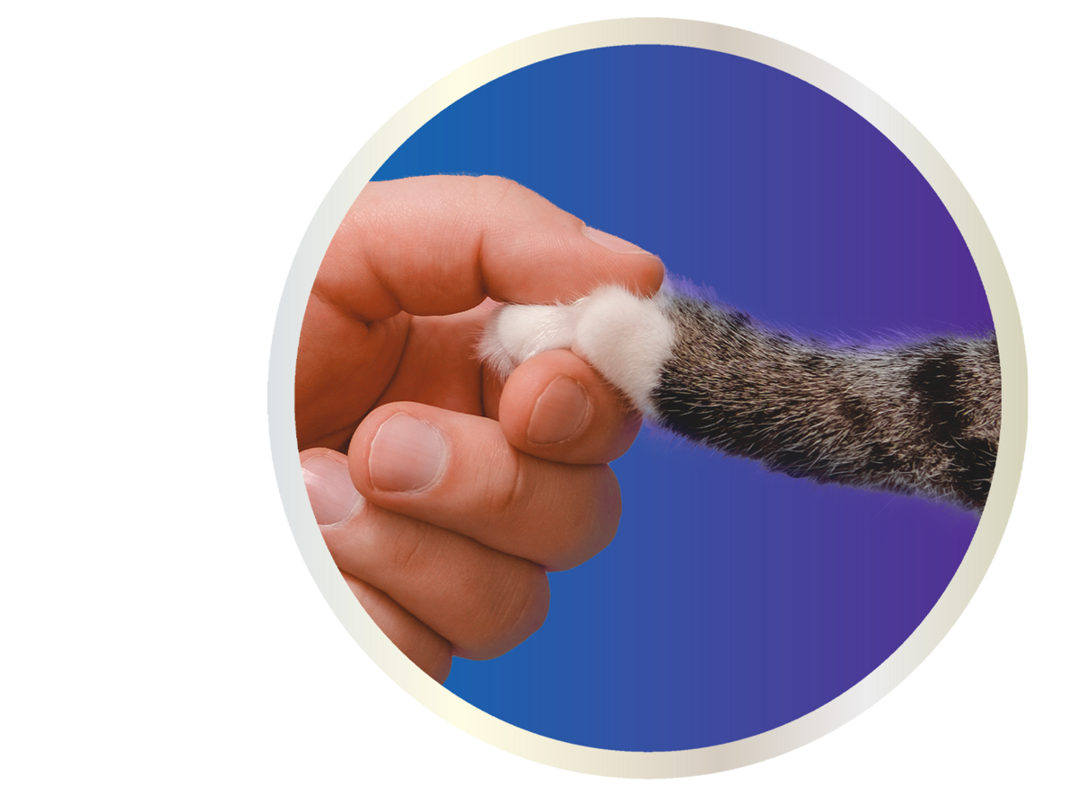 Tidy Care Alert Cat Litter Purina US