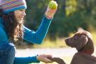 puppy being trained outside ck22 unld