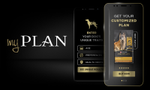 my plan get your customized senior dog food plan