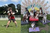 Apryl holding dog that is catching frisbee and multiple dogs standing