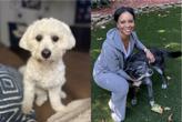 Meet Dr. Callie's Pets