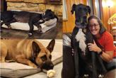 Dr. Melanie posing with large dog