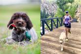 Brown puppy playing with toy and Dr. RuthAnn running with dog