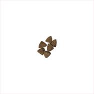 pieces of dry kibble