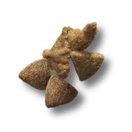 trozos de kibble seco