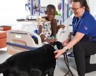 Therapy dog visiting a child in a hospital room.