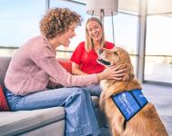 Person petting a service dog