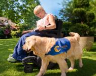 Person in a wheelchair with a service dog.
