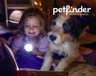 Petfinder powered by Purina logo above a child reading with a dog under a blanket using a flashlight.