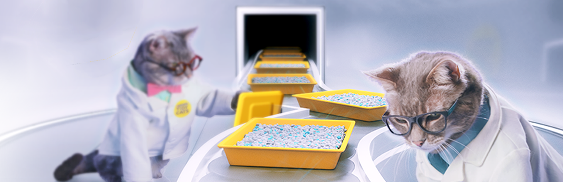 Cajas de arena y arena para gatos Tidy Cats | Purina