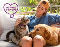 Different Purina brand products and packages spread out across a wooden backdrop