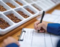 A human evaluating different kibbles