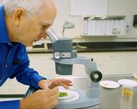 A nutritionist viewing food under a microscope in a lab
