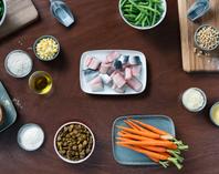 Kibble in a bowl surrounded by a variety of dog food ingredients