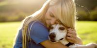 Liver Disease in Dogs hero