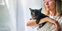 Gato negro con necesidades especiales