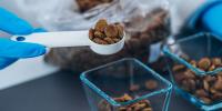what are aafco dog food nutrient profiles