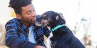 Cuándo cambiar a alimento para perros sénior