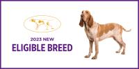 Westminister Dog Show, 2023 New Eligible Breed