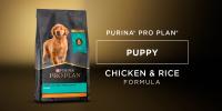 Pro Plan Puppy Chicken & Rice Formula