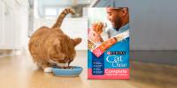 Cat eating a bowl of Cat Chow Complete with Salmon