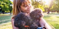 two small, black, cury-haired dogs being held by a woman