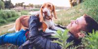 man laying down on grass with white and tan hound dog