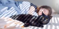 person sleeping in bed with black cat