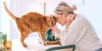 Woman sitting at table head to head with orange cat