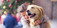 child hugging golden retriever in holiday setting