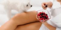 maltese watching owner eat raspberries