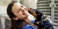 perro salchicha negro y café lamiendo la cara de un técnico veterinario